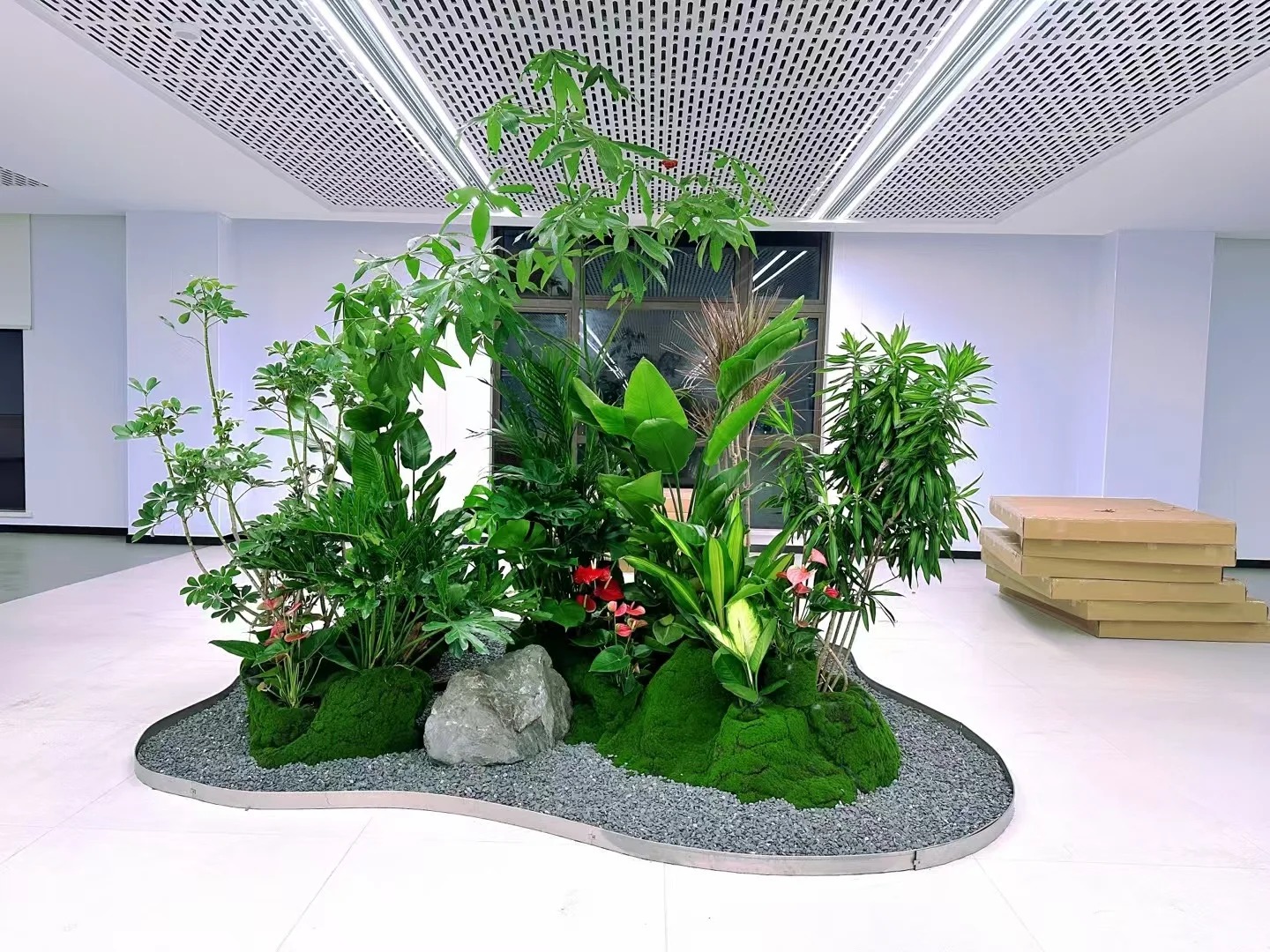 体验宁波杭州湾花木租摆,品味绿植之美